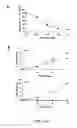 Fig. 02 - Methods of treating abnormal cell growth using c-MET and m-TOR inhibitors