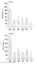 Fig. 06 - Hypoglycemic agent, liver protecting agent and anticancer agent containing lignans originating in hongdoushan