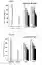 Fig. 07 - Hypoglycemic agent, liver protecting agent and anticancer agent containing lignans originating in hongdoushan