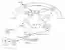 Fig. 01 - Immunoglobulin A inducing protein and uses therefor