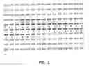 Fig. 03 - Immunoglobulin A inducing protein and uses therefor