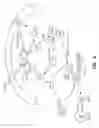 Fig. 07 - Immunoglobulin A inducing protein and uses therefor