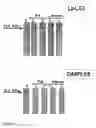Fig. 02 - Surface protein of Leptospira