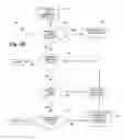 Fig. 10 - Suspending a result set and continuing from a suspended result set for scrollable cursors