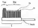 Fig. 01 - Toothbrush