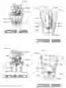 Fig. 08 - Plant package having a decorative covering