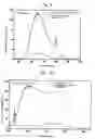 Fig. 09 - Luminescent glass