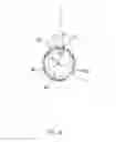 Fig. 07 - Apparatus for optically analyzing products such as fruit having indirect illumination