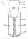 Fig. 01 - Beverage bottle carrier