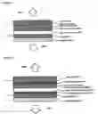 Fig. 02 - Organic light-emitting device comprising buffer layer and method for fabricating the same