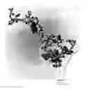 Fig. 01 - Nano-talc with hydrophobic coating