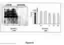 Fig. 07 - Method for inhibition of viral infection