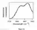 Fig. 08 - Composition and method for monitoring in vitro conversion of full -length mammalian prion protein to amyloid form with physical properties of PRPsc