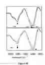 Fig. 09 - Composition and method for monitoring in vitro conversion of full -length mammalian prion protein to amyloid form with physical properties of PRPsc