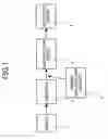 Fig. 02 - Primers for isothermal amplification of hepatitis C virus