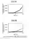 Fig. 06 - Primers for isothermal amplification of hepatitis C virus