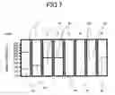 Fig. 08 - Primers for isothermal amplification of hepatitis C virus