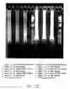 Fig. 32 - Processes for detecting or quantifying more than one nucleic acid in a library
