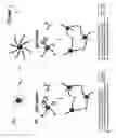 Fig. 02 - Bio-barcode based detection of target analytes