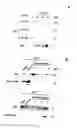Fig. 11 - Methods of screening apoptosis modulating compounds, compounds identified by said methods and use of said compounds as therapeutic agents