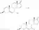 Fig. 08 - Microbial process for the preparation of 7-keto dehydroepiandrosterone and related analogs