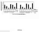 Fig. 02 - Expression of mammalian proteins in 