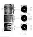 Fig. 04 - Dynamically controllable biological/chemical detectors having nanostructured surfaces