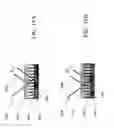 Fig. 19 - Dynamically controllable biological/chemical detectors having nanostructured surfaces