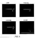Fig. 06 - Methods and compositions useful for modulation of angiogenesis using protein kinase Raf and Ras