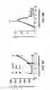 Fig. 07 - Methods and compositions useful for modulation of angiogenesis using protein kinase Raf and Ras