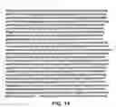 Fig. 14 - Methods and compositions useful for modulation of angiogenesis using protein kinase Raf and Ras