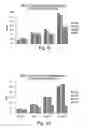 Fig. 09 - XAF genes and polypeptides: methods and reagents for modulating apoptosis