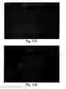 Fig. 10 - XAF genes and polypeptides: methods and reagents for modulating apoptosis