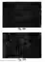 Fig. 12 - XAF genes and polypeptides: methods and reagents for modulating apoptosis