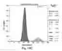 Fig. 16 - XAF genes and polypeptides: methods and reagents for modulating apoptosis