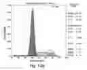 Fig. 19 - XAF genes and polypeptides: methods and reagents for modulating apoptosis