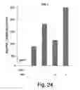 Fig. 32 - XAF genes and polypeptides: methods and reagents for modulating apoptosis