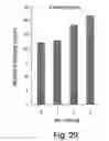 Fig. 37 - XAF genes and polypeptides: methods and reagents for modulating apoptosis