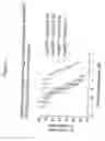 Fig. 03 - Adenosine Areceptor modulators