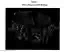 Fig. 06 - PDE4B inhibitors and uses therefor