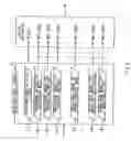 Fig. 07 - Robot apparatus and control method therefor, and robot character discriminating method
