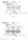 Fig. 35 - Robot apparatus and control method therefor, and robot character discriminating method