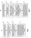 Fig. 03 - Mapping web sites based on significance of contact and category