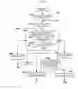 Fig. 13 - Structured-document processing