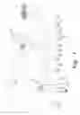 Fig. 02 - Pyrotechnic animal dispersal device