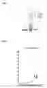 Fig. 02 - Indicator electrode used for electrochemical measurement of liquid