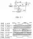 Fig. 07 - Digital signal transfer device