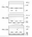 Fig. 22 - Semiconductor light emitting device