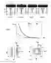 Fig. 07 - Coplanar discharge faceplates for plasma display panel providing adapted surface potential distribution