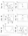 Fig. 07 - Liquid transport apparatus and method for producing the same